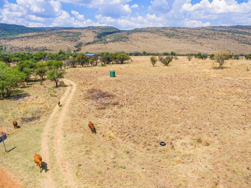 Exceptional 44-Hectare Agricultural , Multiple living, Farm for Sale – Hekpoort - Photo 4