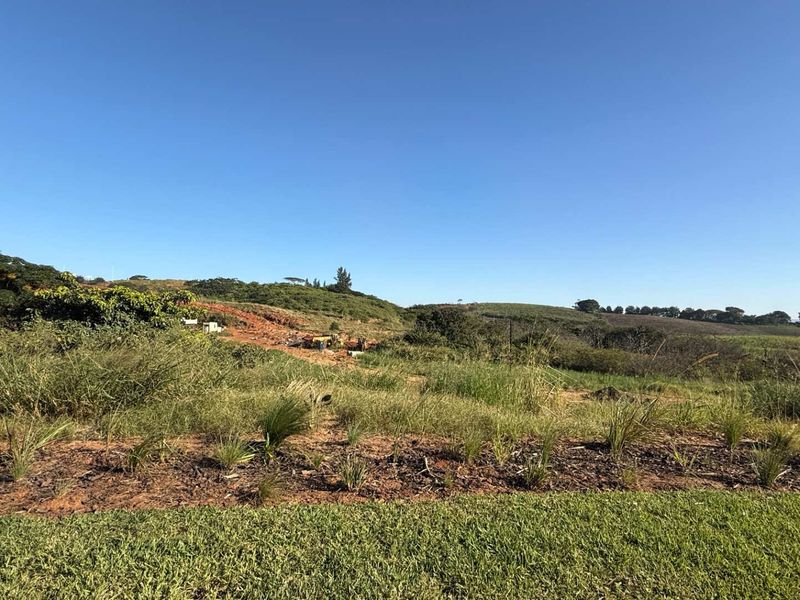 Land close to the main gate - Photo 4