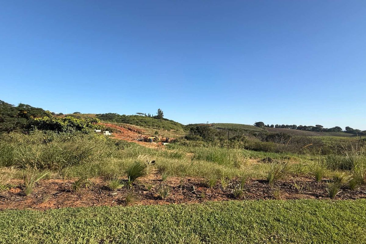 Land close to the main gate - Photo 4