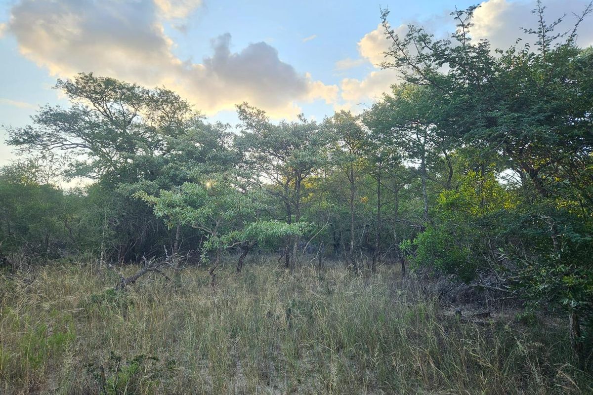 Vacant Land in MODITLO NATURE RESERVE - Photo 4