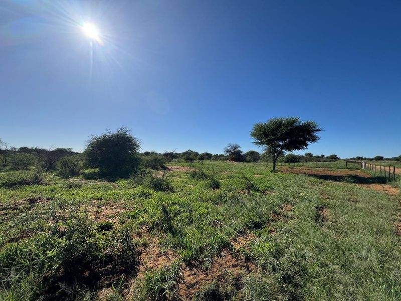 An expansive open field on a small holding, featuring natural vegetation, scattered trees, and perimeter wire fencing under a clear blue sky.