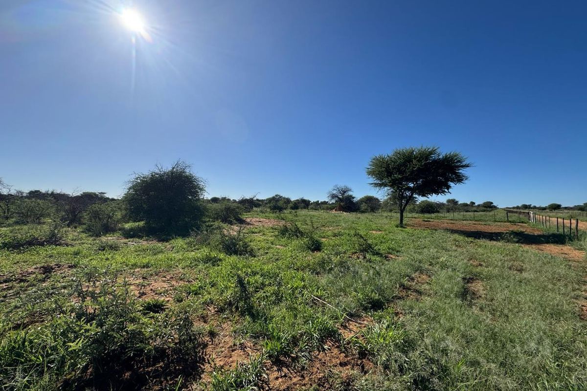 An expansive open field on a small holding, featuring natural vegetation, scattered trees, and perimeter wire fencing under a clear blue sky.