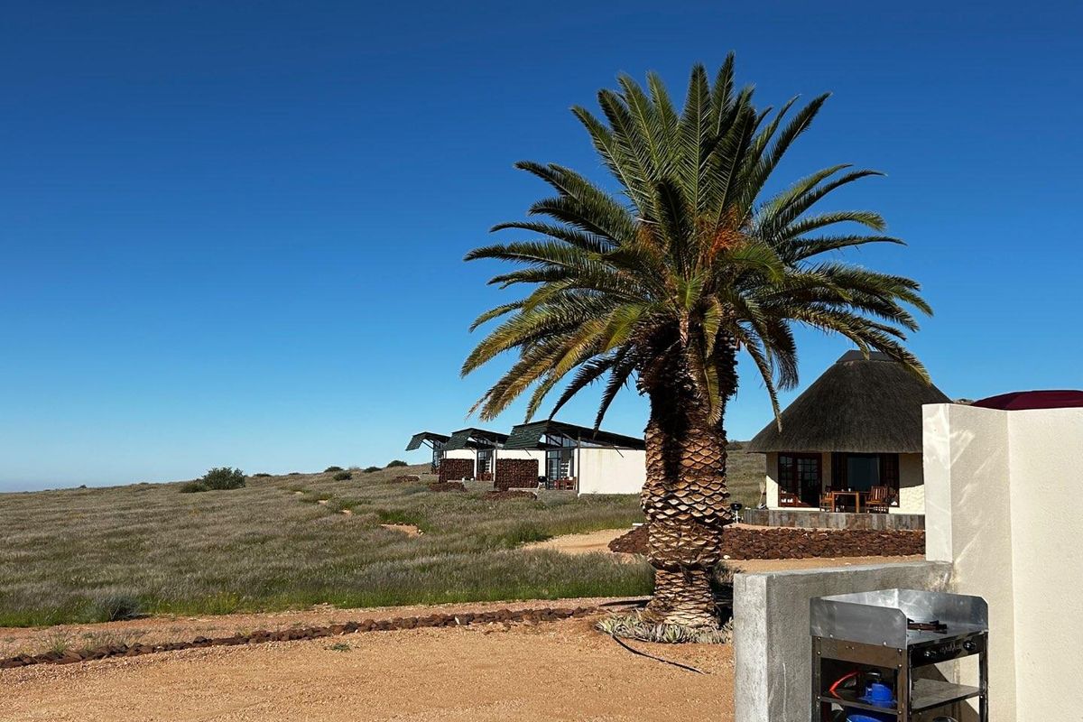 Exterior view of the farm property featuring a thatched-roof structure, a large palm tree, and open landscape with additional accommodation units in the distance.