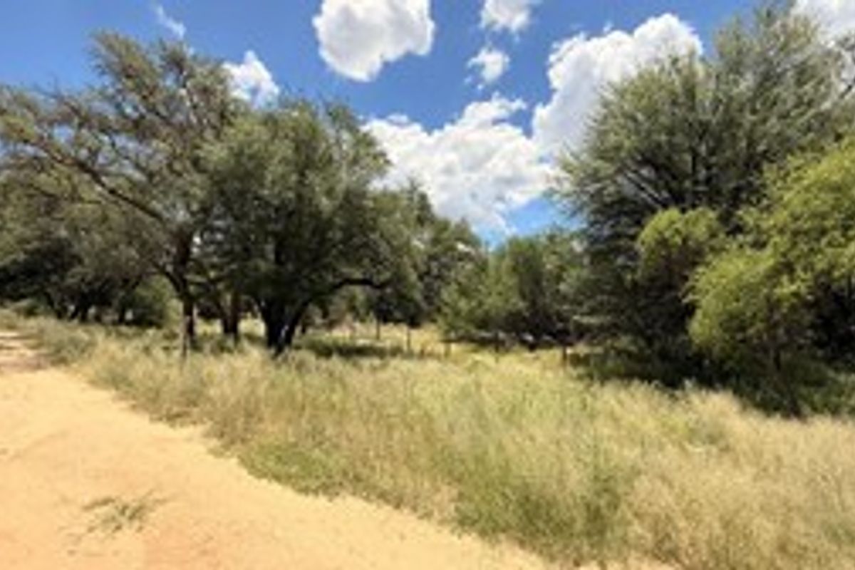 A view of a vacant residential plot featuring natural vegetation, mature trees, and existing perimeter fencing.