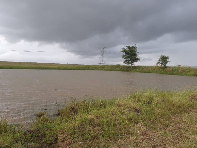 Agricultural Farm for sale - Photo 7