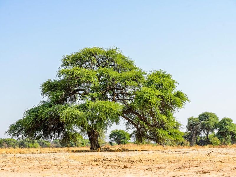 15 000 HA Premium Multi-Use Farmland - Photo 10