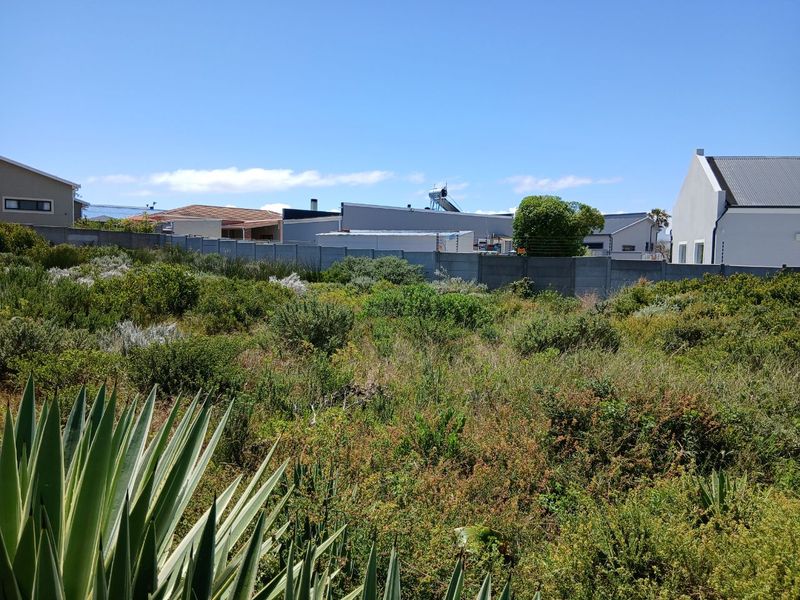 A vacant residential plot featuring established indigenous vegetation and a precast concrete boundary wall, situated in a developed suburban neighborhood.