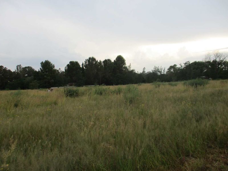 Enyoy the country atmosphere in Henley - Photo 6