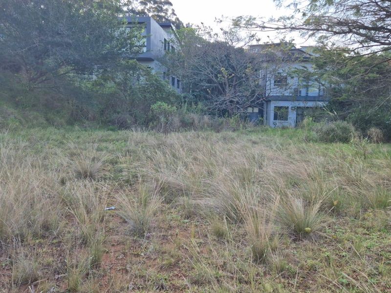 A view of an undeveloped residential plot featuring overgrown grass and natural vegetation with neighboring properties visible in the background.