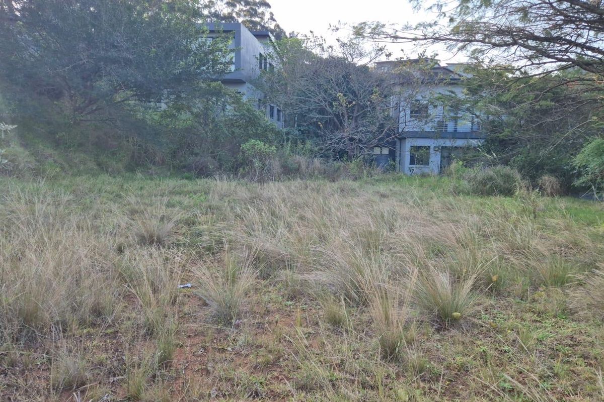 A view of an undeveloped residential plot featuring overgrown grass and natural vegetation with neighboring properties visible in the background.