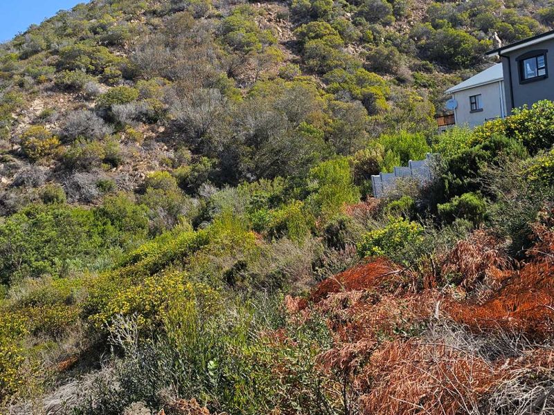 Duet Opportunity Vacant plot for a steal! - Photo 5