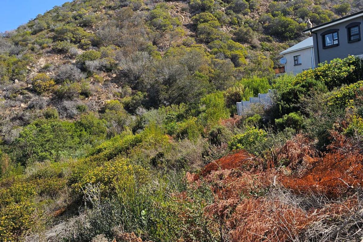 Duet Opportunity Vacant plot for a steal! - Photo 5