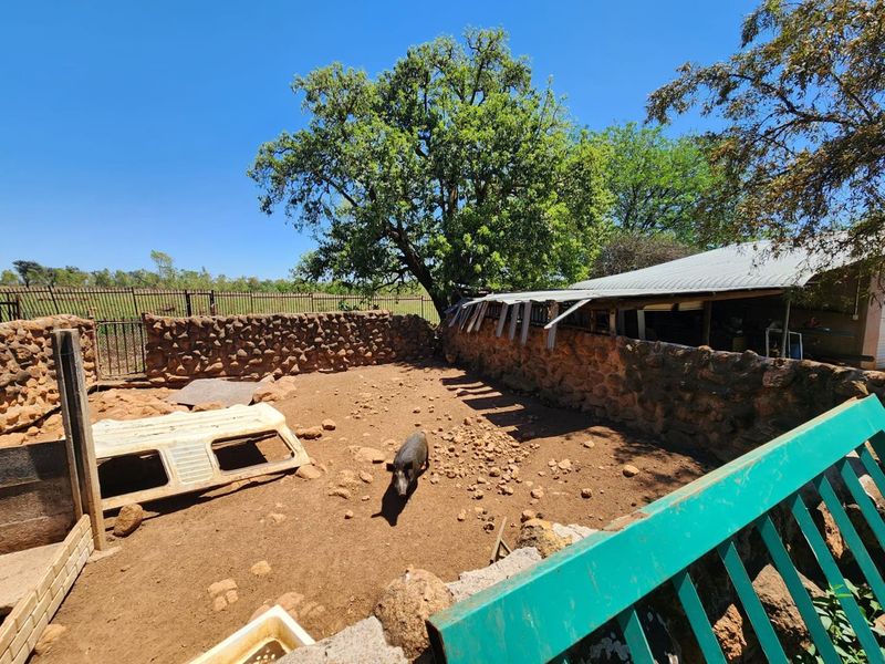 7 Bedroom Farm Next to Main Road in Haakdoornboom - Photo 10