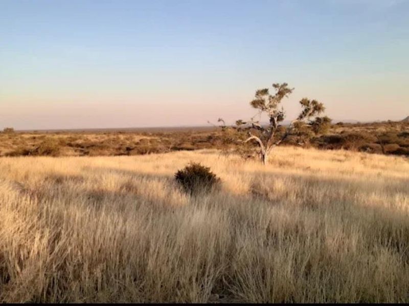 FARM FOR SALE- EXCEPTIONAL VALUE!! - Photo 8