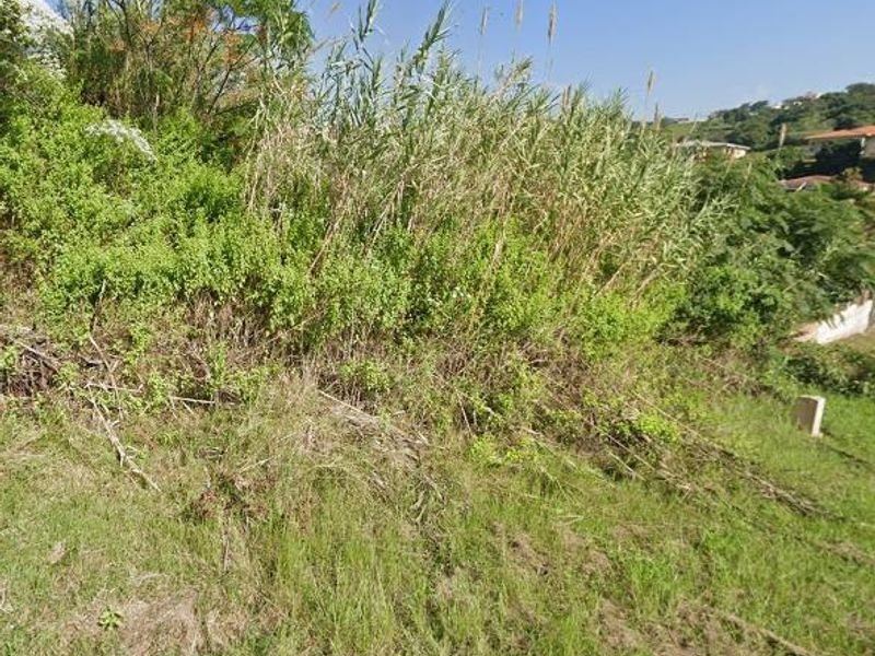 Prime Vacant Land Opportunity in Ridgeview - Photo 2