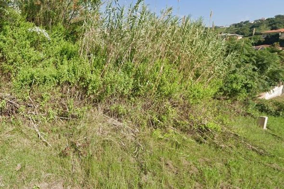 Prime Vacant Land Opportunity in Ridgeview - Photo 2