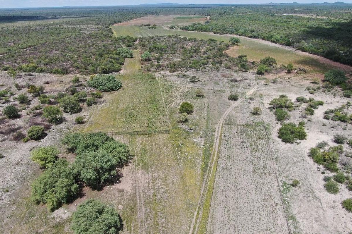 Exceptional Agricultural Estate with Off-Grid Solar Plant and All-Inclusive Goods - Photo 4