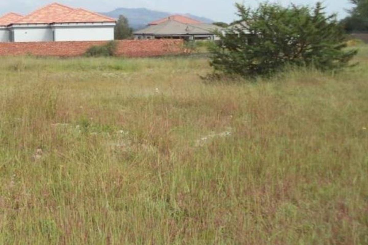 stand for sale. - Photo 2