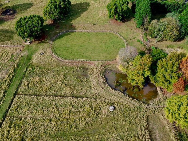 Lifestyle Smallholding with River Frontage near Howick - Photo 5