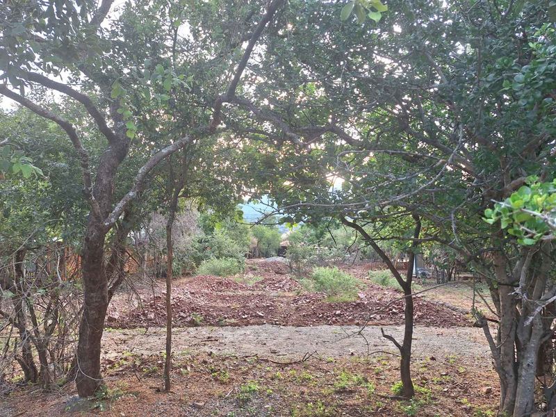 A view of a vacant residential plot featuring mature trees and cleared soil, offering a natural setting for future development.