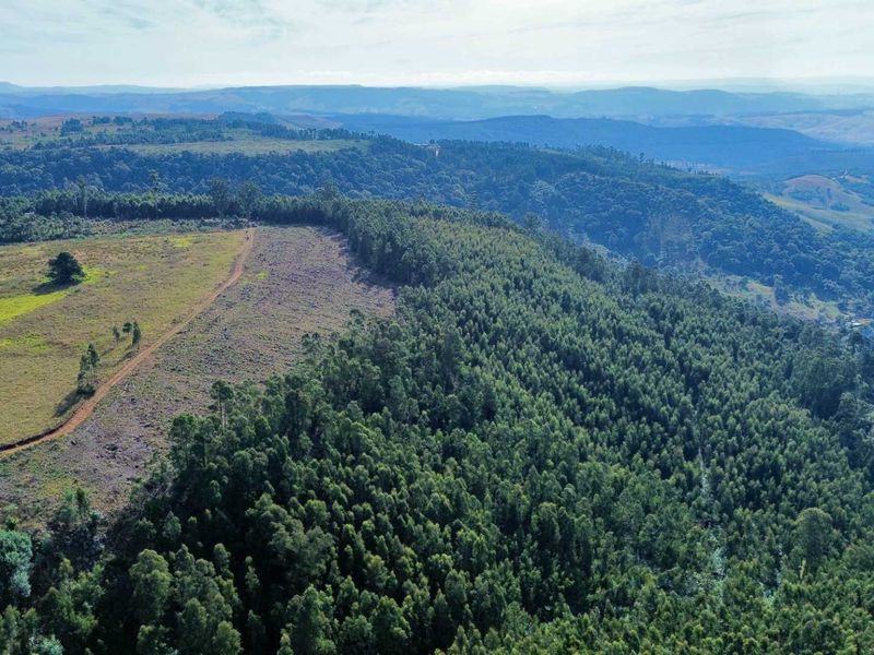 33-Hectare Vacant Land with Forest and Panoramic Views in the Midlands, Howick Rural - Photo 1