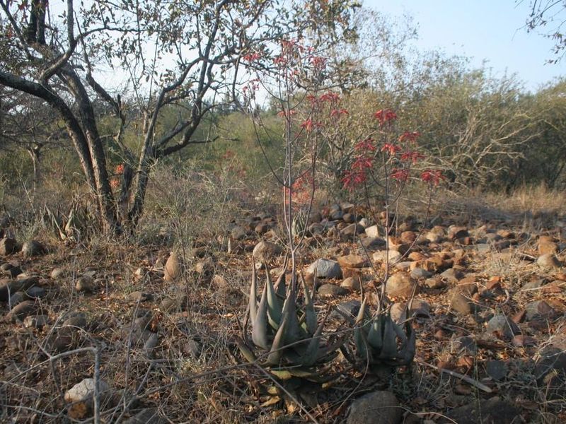 Alluring riverfront stand for sale. - Photo 7