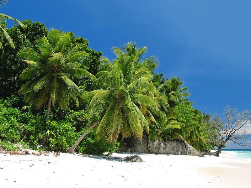 OFF MARKET OPPORTUNITY TO ACQUIRE AND OWN A PRIVATE ISLAND IN THE INCREDIBLE SEYCHELLES - Photo 5