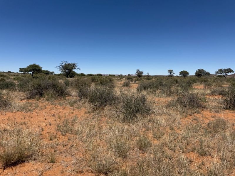 FARM FOR SALE- EXCEPTIONAL VALUE!! - Photo 9