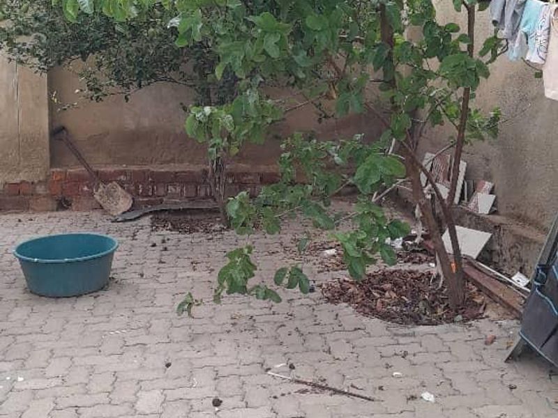 FREESTANDING HOUSE FOR SALE  - GREENWELL - Photo 5