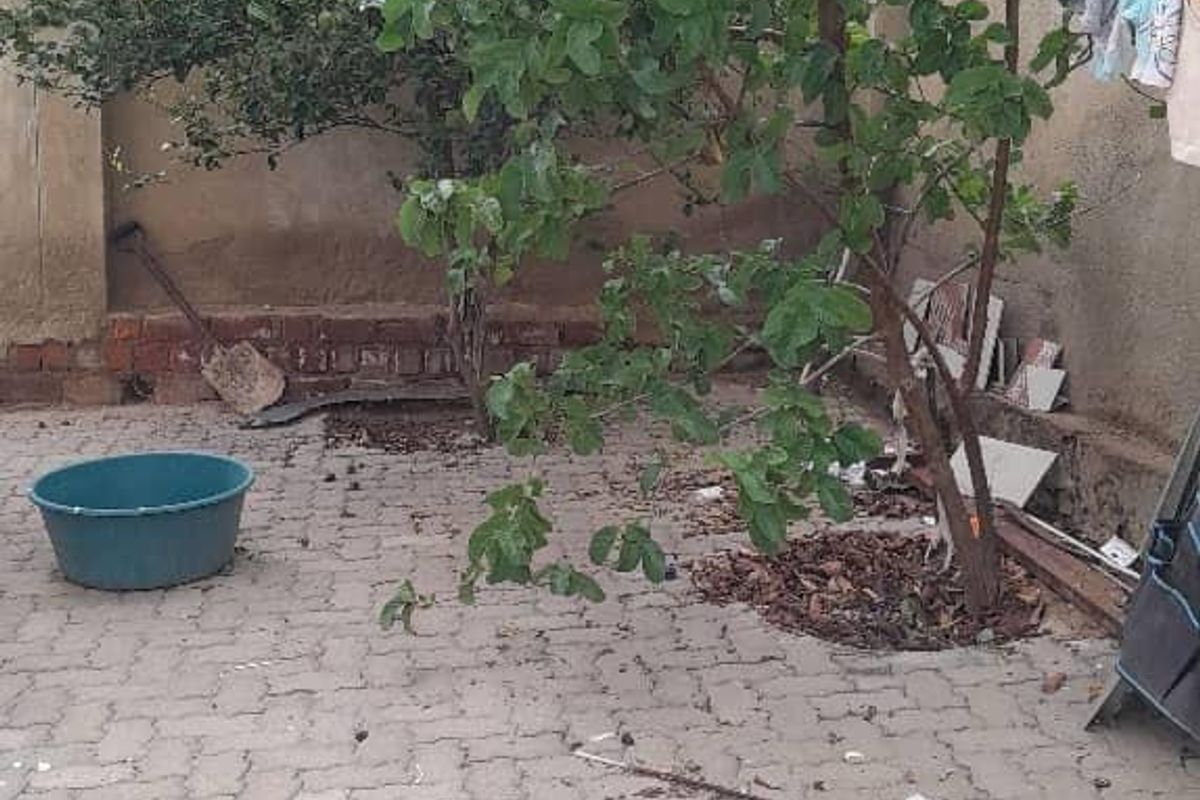 FREESTANDING HOUSE FOR SALE  - GREENWELL - Photo 5