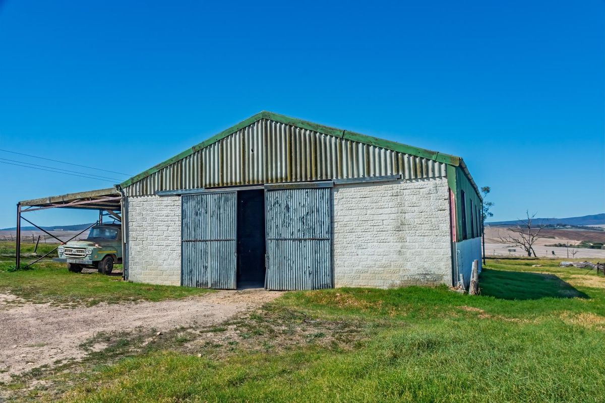 Crop Farm with Registered Irrigation Rights - Photo 4