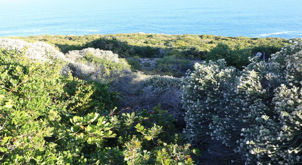 339 Oyster Bay Drive - Vacant Land