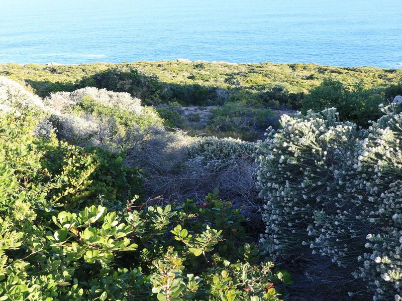 Vacant Land for sale in Pinnacle Point Golf Estate - Photo 4