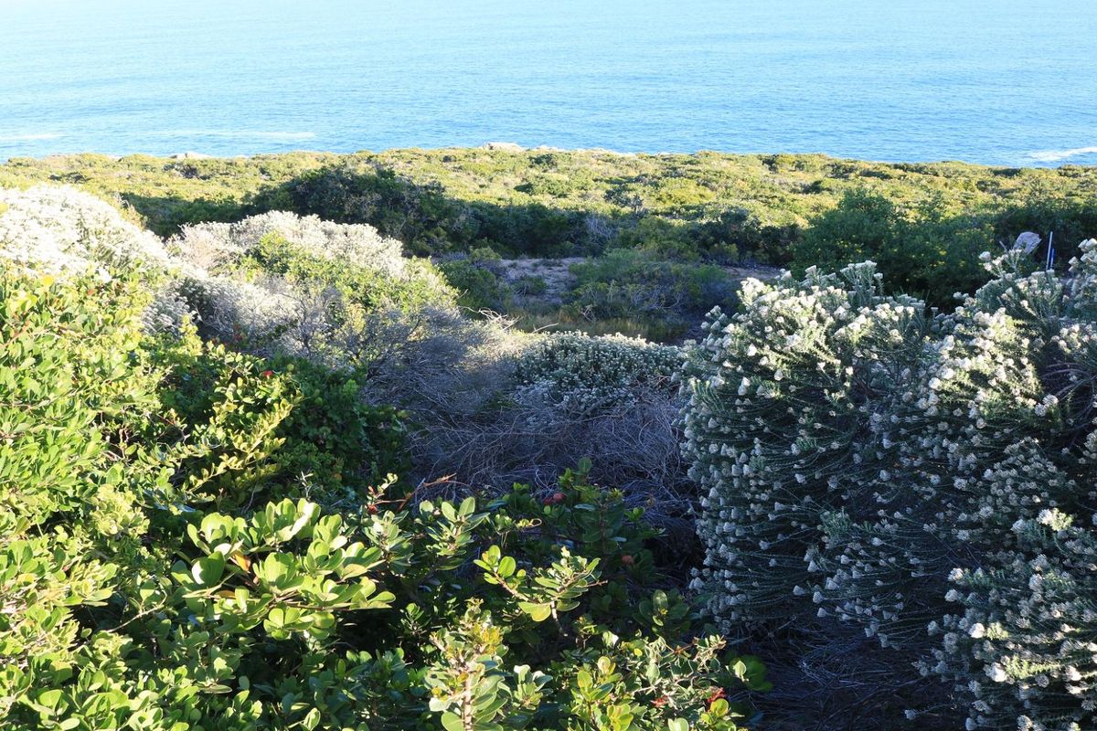 Vacant Land for sale in Pinnacle Point Golf Estate - Photo 4