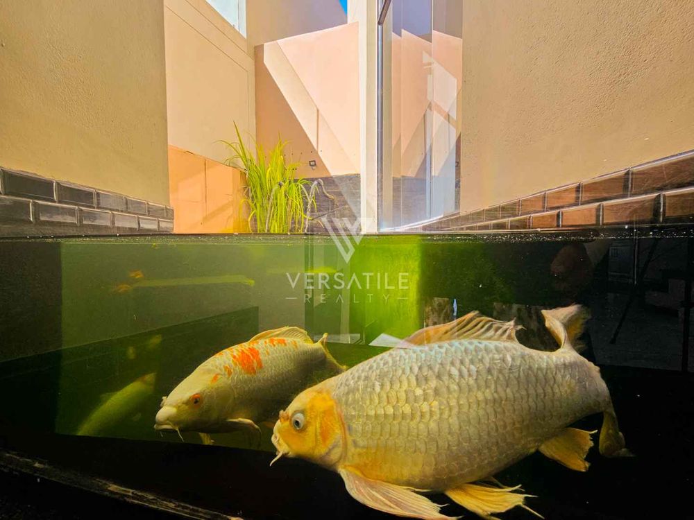 45 - House interior kio pond view 