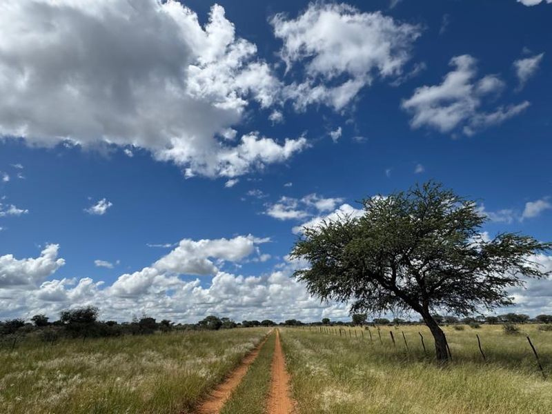 This impressive 4,100-hectare farm, strategically divided into 22 well-equipped camps, offers an exceptional opportunity for serious farming and investment. - Photo 3
