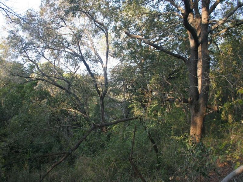 Alluring riverfront stand for sale. - Photo 2