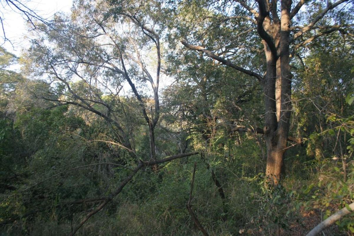 Alluring riverfront stand for sale. - Photo 2