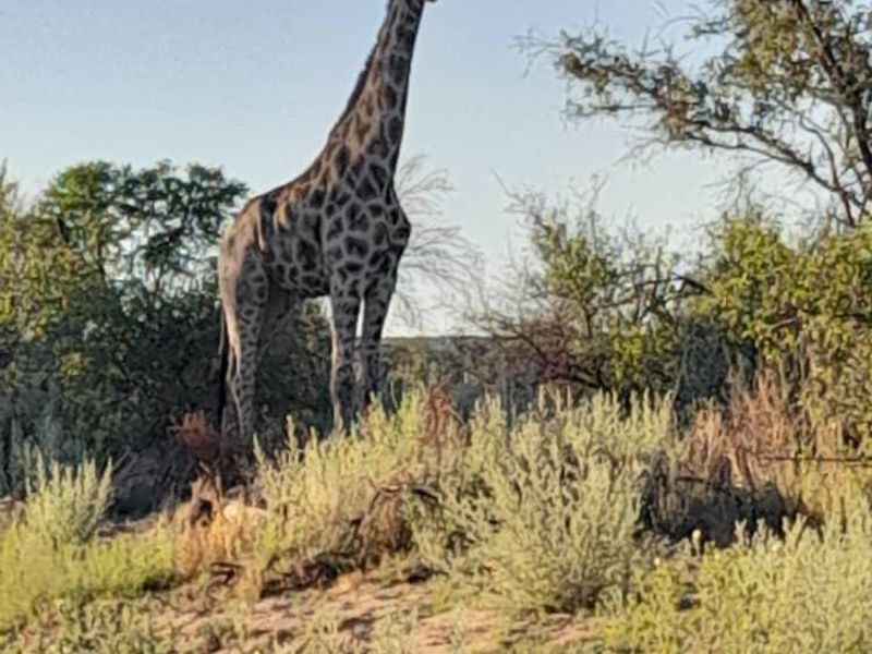 Gobabis Geust farm - Photo 2