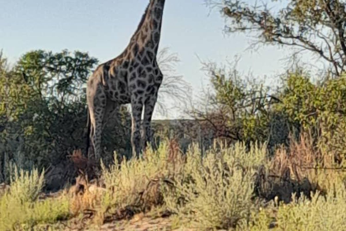 Gobabis Geust farm - Photo 2
