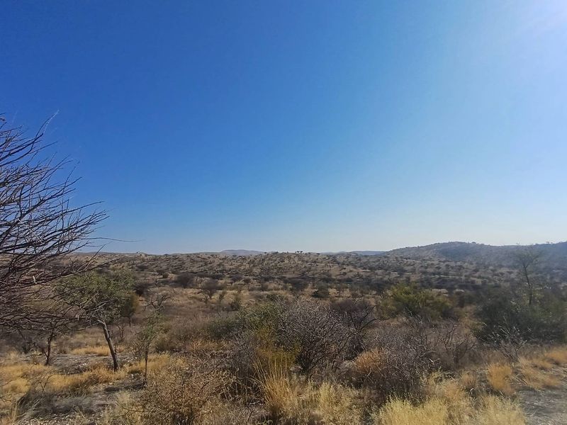 Expansive landscape view showcasing the natural terrain and vegetation of the farm property.