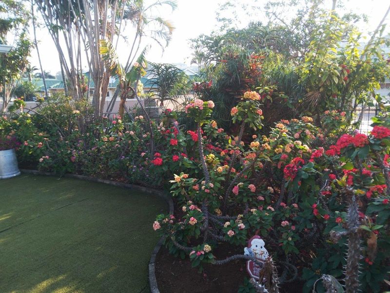 Immaculate 3 bedroom 4 bathroom home for sale in sought after Somerset Park - Photo 8