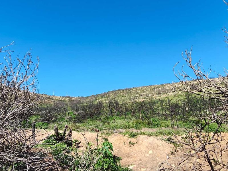 North facing plot in popular enclave - Photo 7