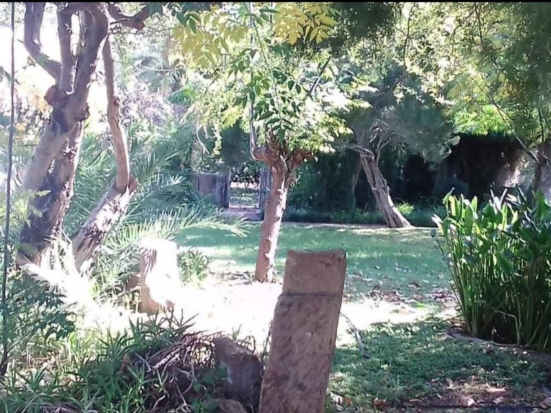 A lush, mature garden area featuring established trees, green lawn, and stone garden features, providing a serene outdoor space.