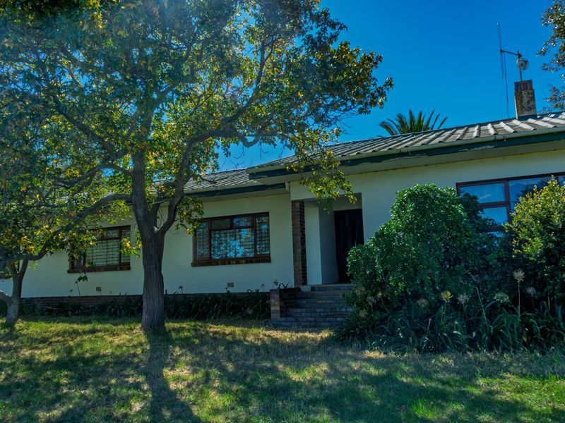 Crop Farm with Registered Irrigation Rights - Photo 3