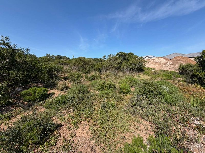 A view of a vacant residential plot featuring natural vegetation and sandy terrain, suitable for future development.