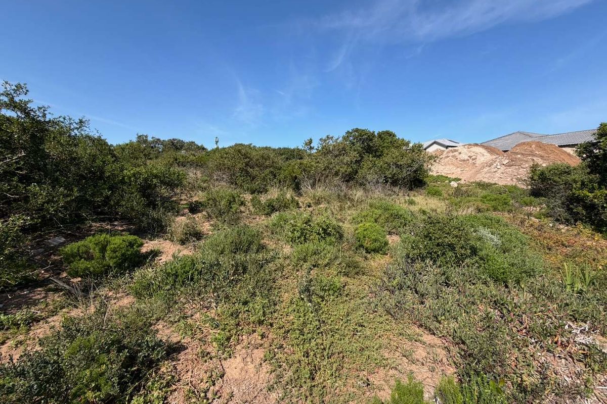 A view of a vacant residential plot featuring natural vegetation and sandy terrain, suitable for future development.