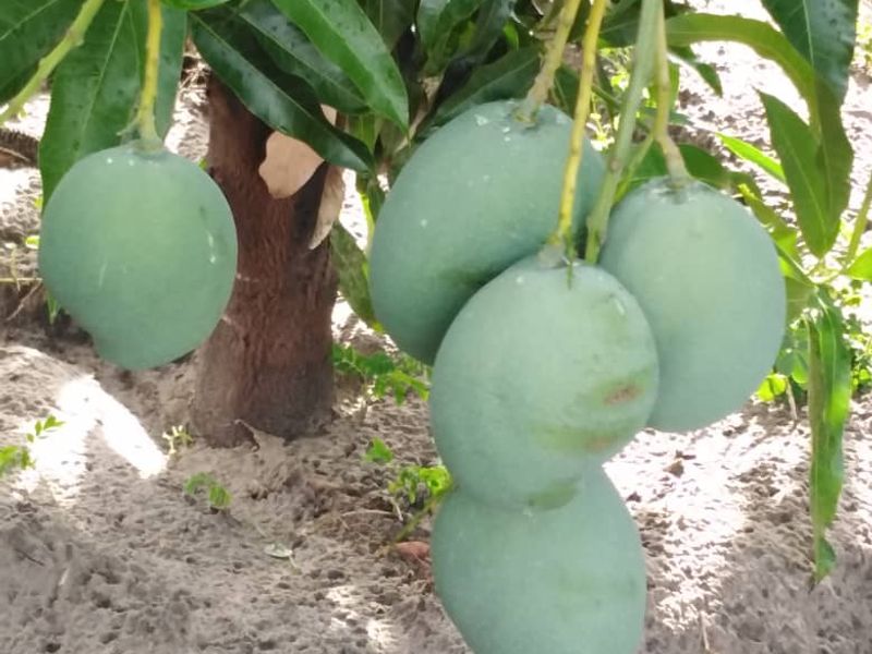 PERFECTLY LOCATED RIVER VIEW PLOT – RUNDU AREA KAVANGO EAST REGION - Photo 3