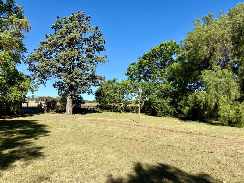 A spacious, open garden area featuring established mature trees and a large grass lawn on a small holding property.