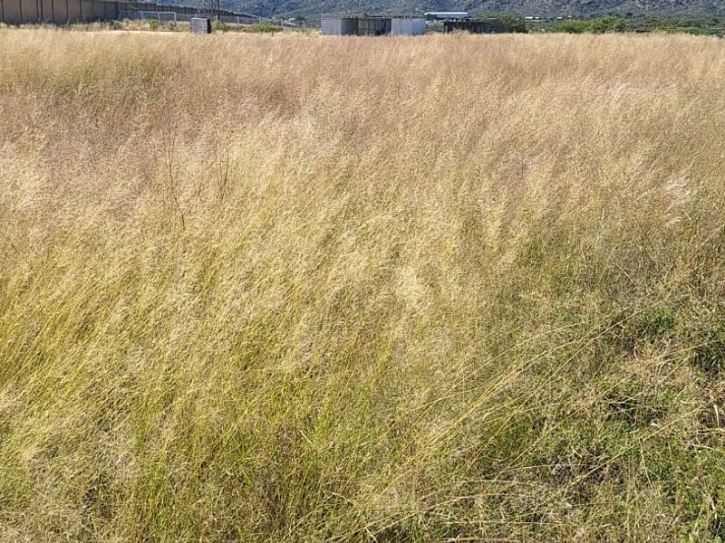 Prime Vacant Land for Rent in Brakwater, Windhoek – Secure & Accessible - Photo 2